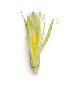 Bắp hữu cơ Bio 1